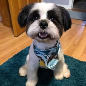 Meet your Posher, Sue